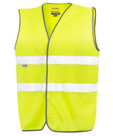 Motorist safety vest