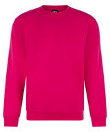 Pro sweatshirt