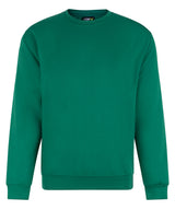 Pro sweatshirt